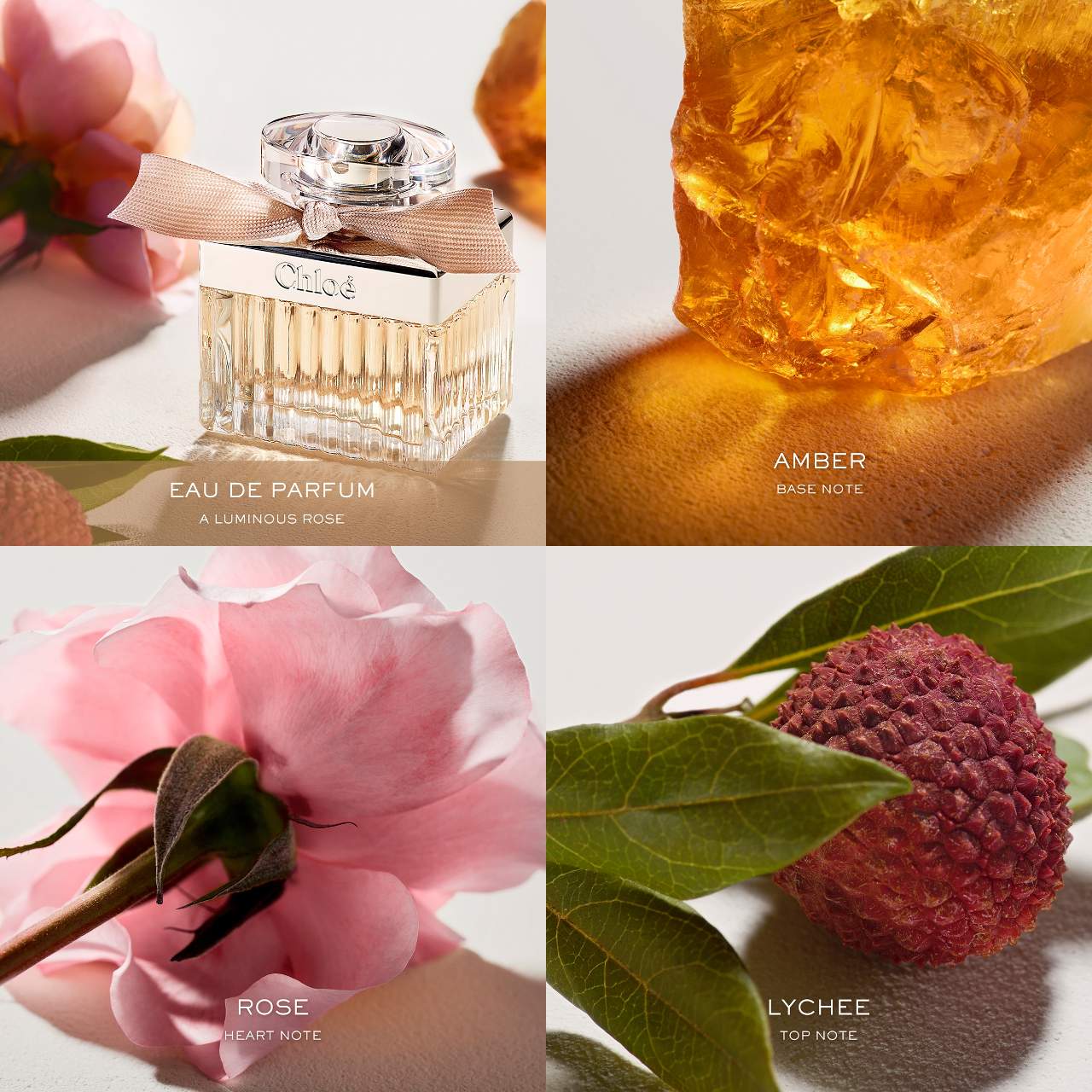 CHLOE Eau de Parfum 10ml Decant