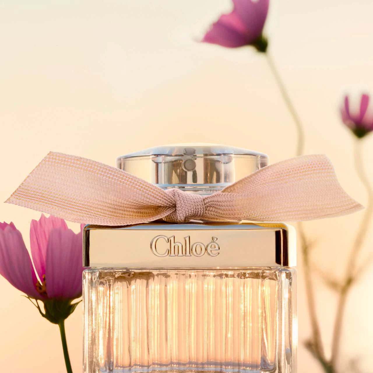 CHLOE Eau de Parfum 10ml Decant