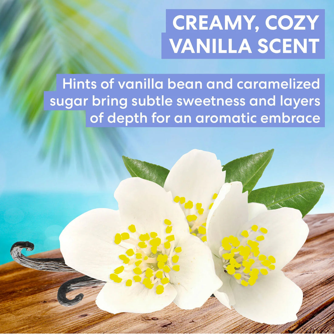 PALMER'S Tahitian Vanilla Body Oil