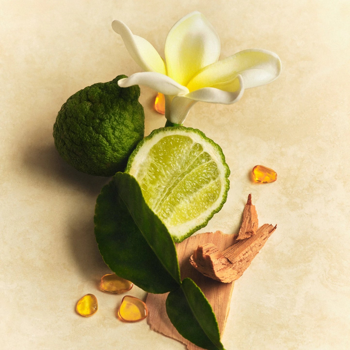 ATHENA CLUB Solar Muse Skin Perfecting Body Lotion